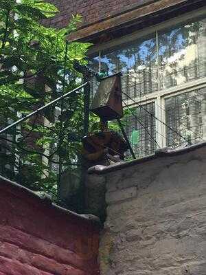 Apdm - Aux Pays Des Merveilles