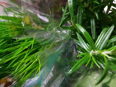 Pizzeria Per Passione