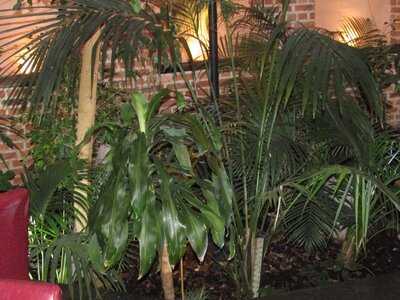 Le Jardin De L'ilot Sacre