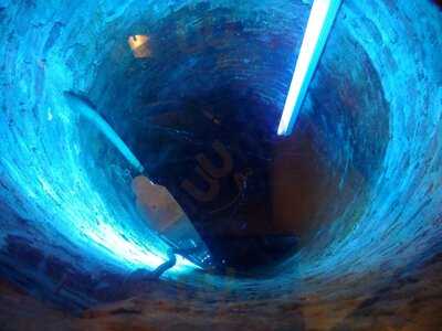 Le Jardin De L'ilot Sacre