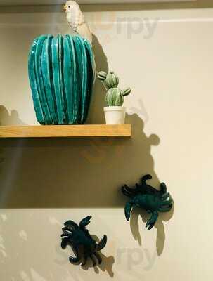 Pulpo 2 Gent-centrum