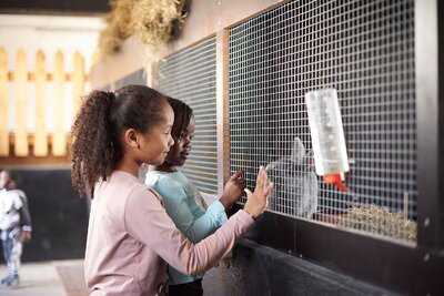 Café De Ijzerboomgaard