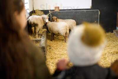 Café De Ijzerboomgaard