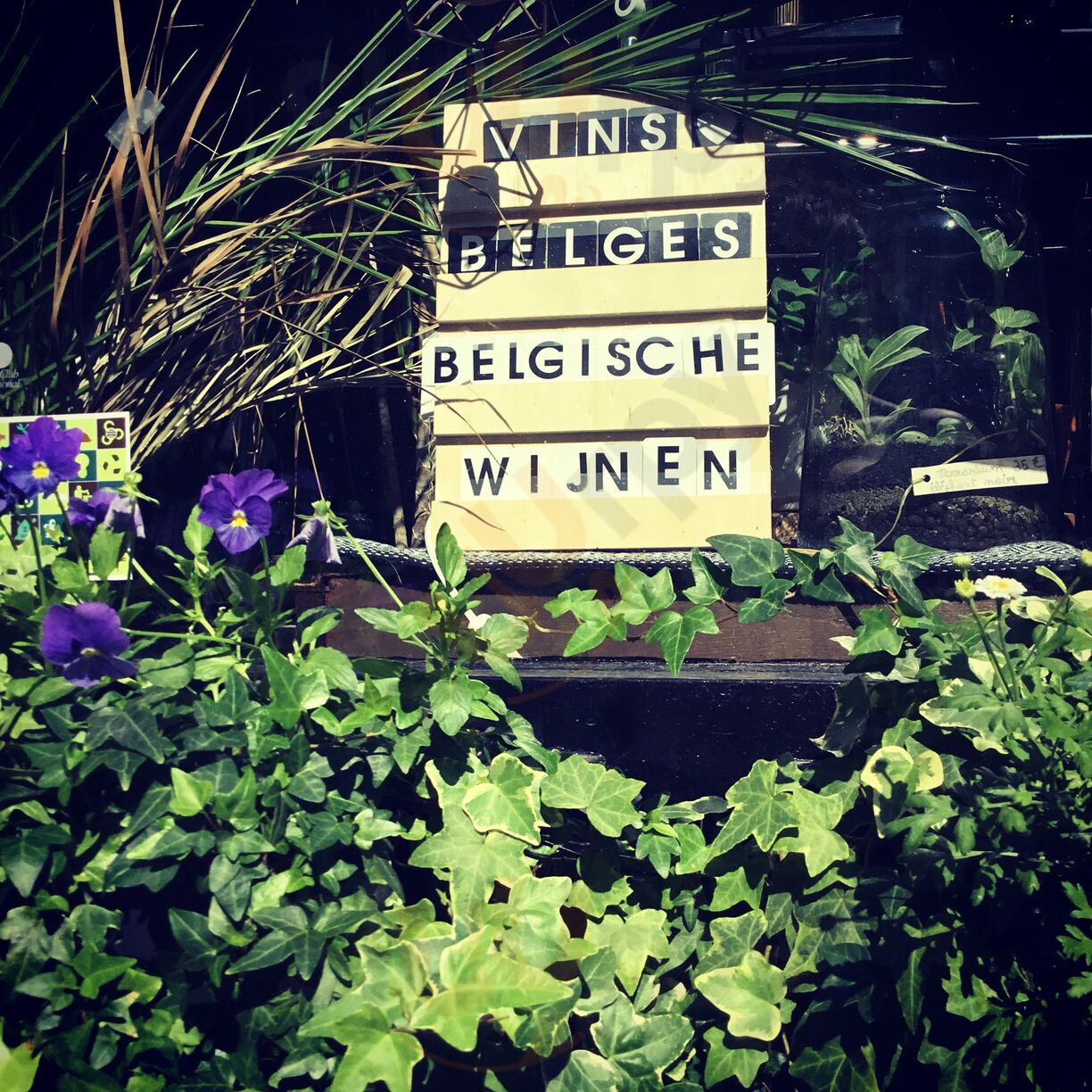 Le Mépris Belgian Wines Bar