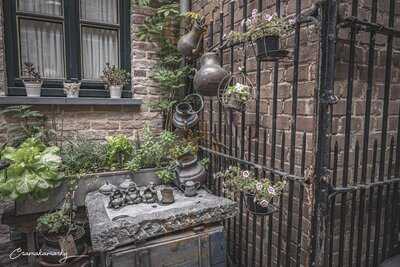 Eethuis De Mosselpot