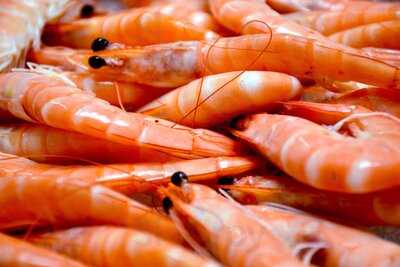 Poissonnerie Khachane