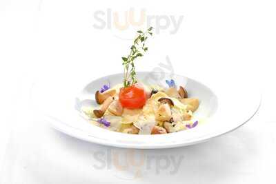 Zum Schwarzen Uristier