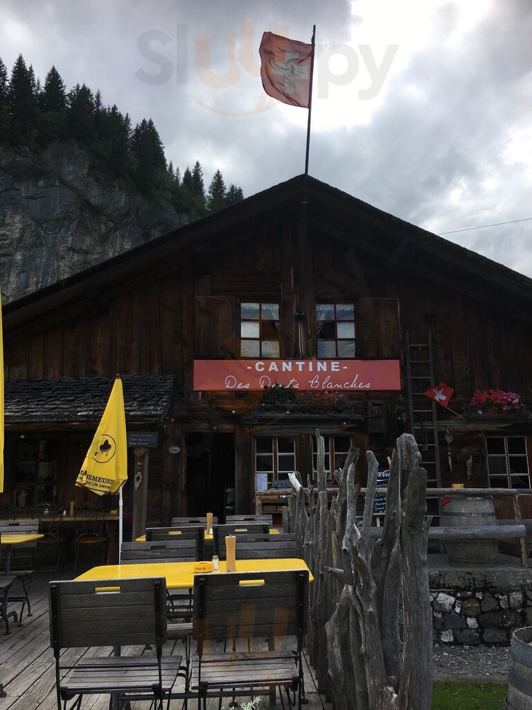 Cantine Des Dents Blanches