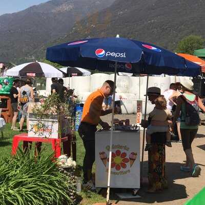 Gelateria Nuovo Fiore