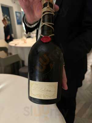 Badalucci Taste Of Art