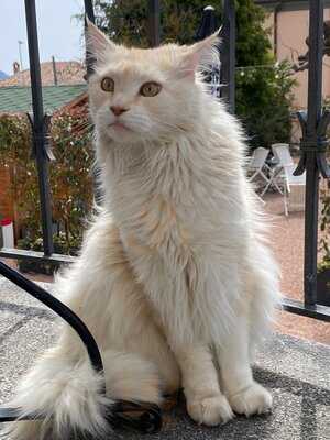 Osteria Salotto Brè