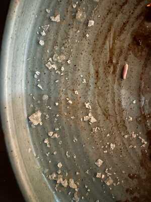 Bistrot & Pizza Argentino