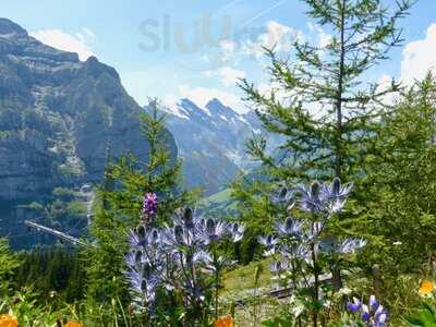 Hotel Jungfrau Restaurant Wengeralp