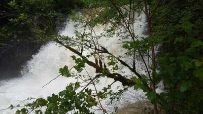 Pintli Neu Falkenstein