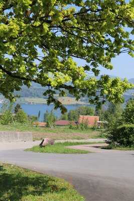 Restaurant Golfpark Zürichsee