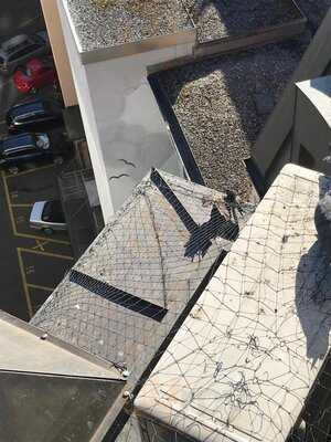 Suite - Small Plates & Cocktails