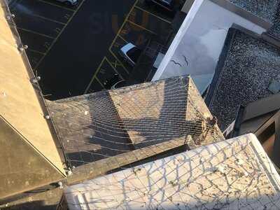 Suite - Small Plates & Cocktails