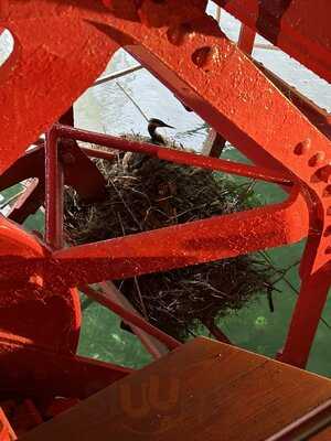 Schiffrestaurant Wilhelm Tell