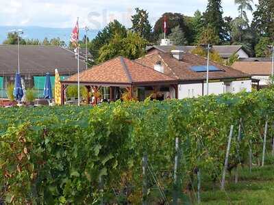 Restaurant Cote Vignes