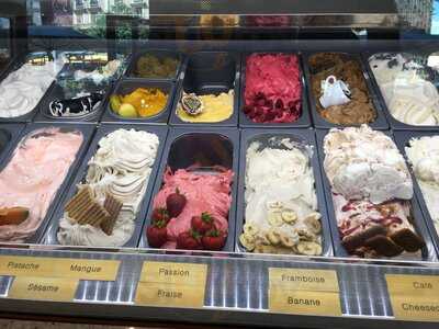 Muller's Factory Plainpalais