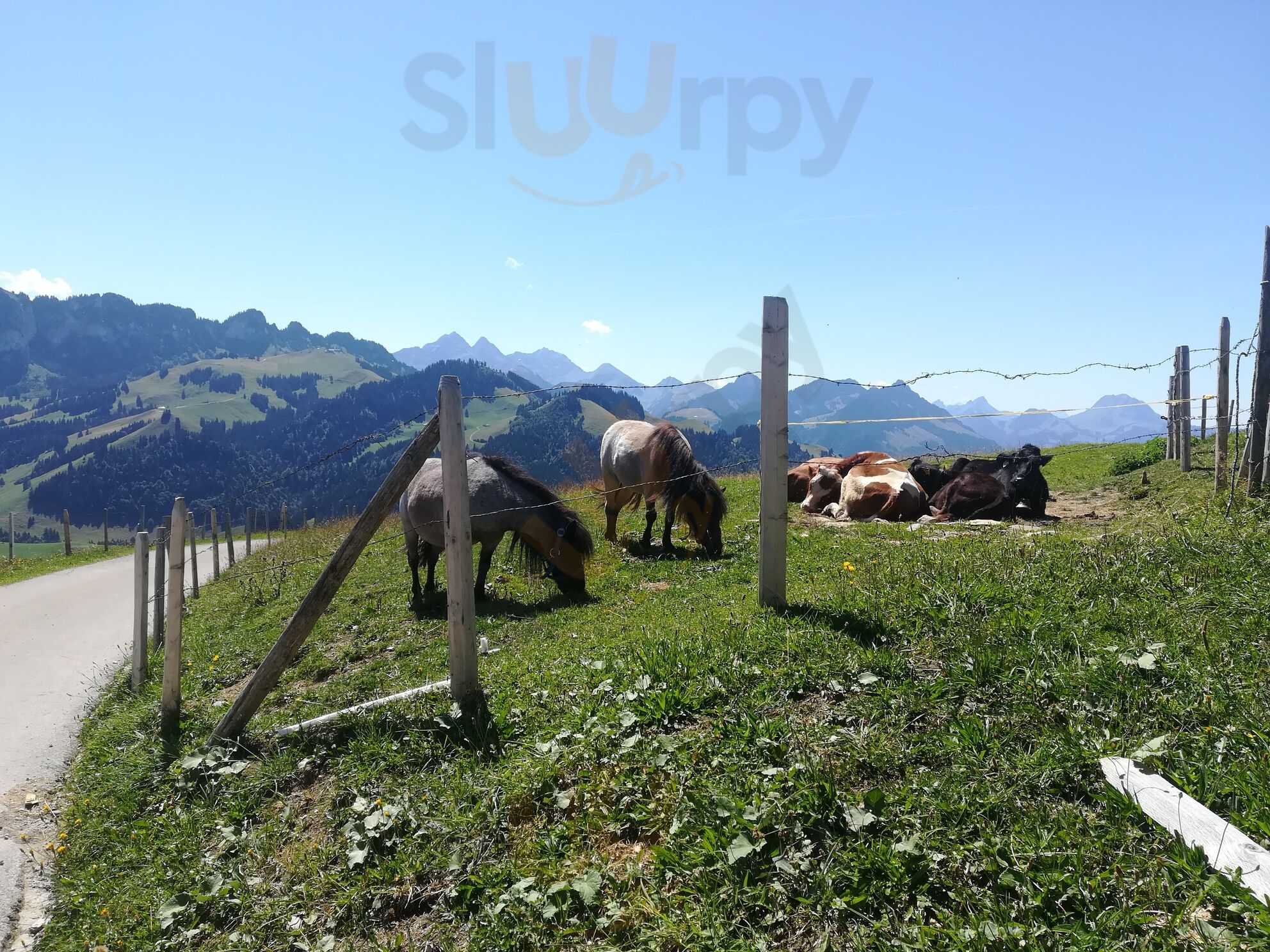 Buvette Des Gros Chaumiaux