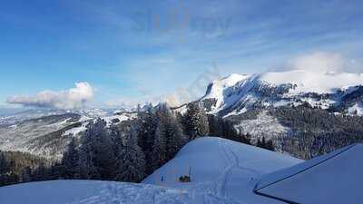 Cabane Du Petit Oiseau
