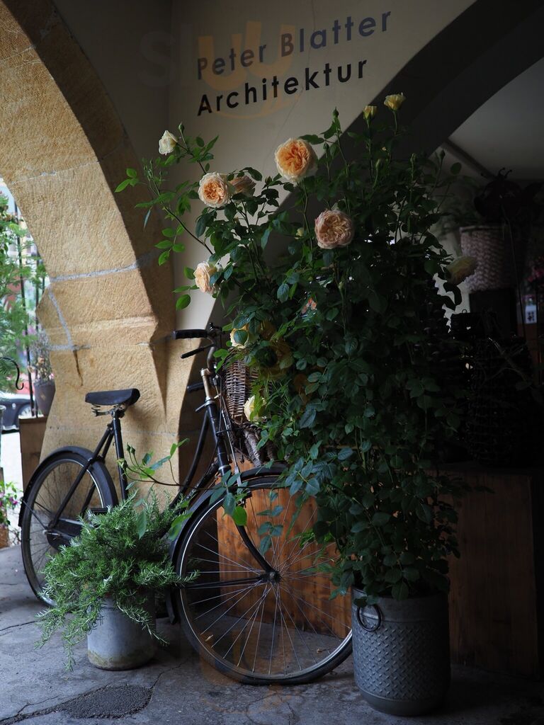 Restaurant Pizzeria La Fontana