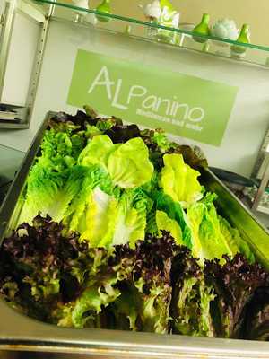 Al Panino