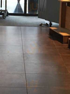 Moser's Backparadies