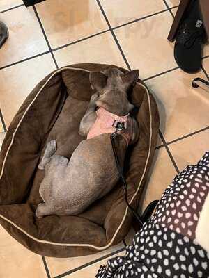 Paparazzi Ristorante, Pizzeria