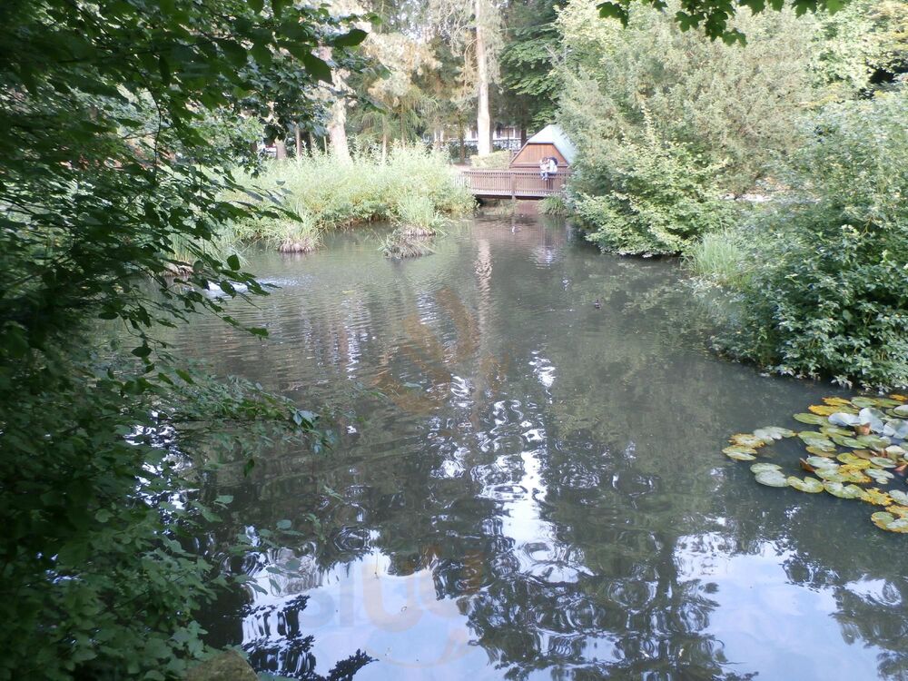 Park Im Gruene