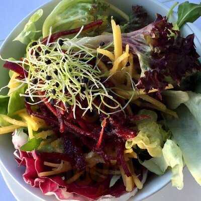 Restaurant Schipfe 16