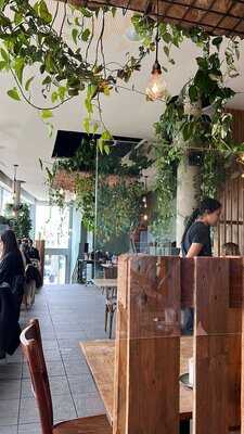 The Artisan - Kitchen And Urban Garden