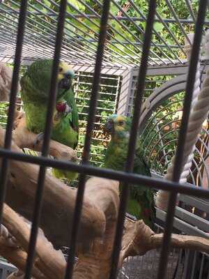 Ristorante Pizzeria Piccolo Mondo