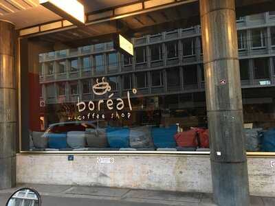 Boreal Coffee Shop Talacker