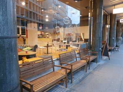 Boreal Coffee Shop Talacker