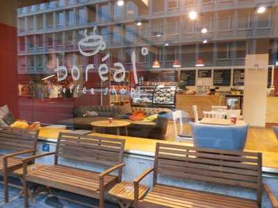 Boreal Coffee Shop Talacker