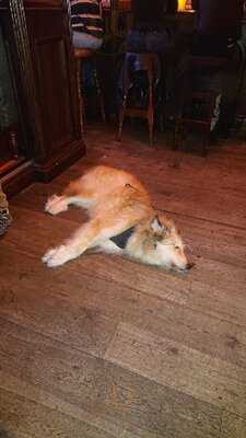 Paddy Reilly's Irish Pub