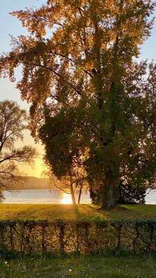 See & Park Hotel Feldbach Restaurant