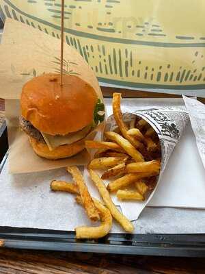 The Green Van Company