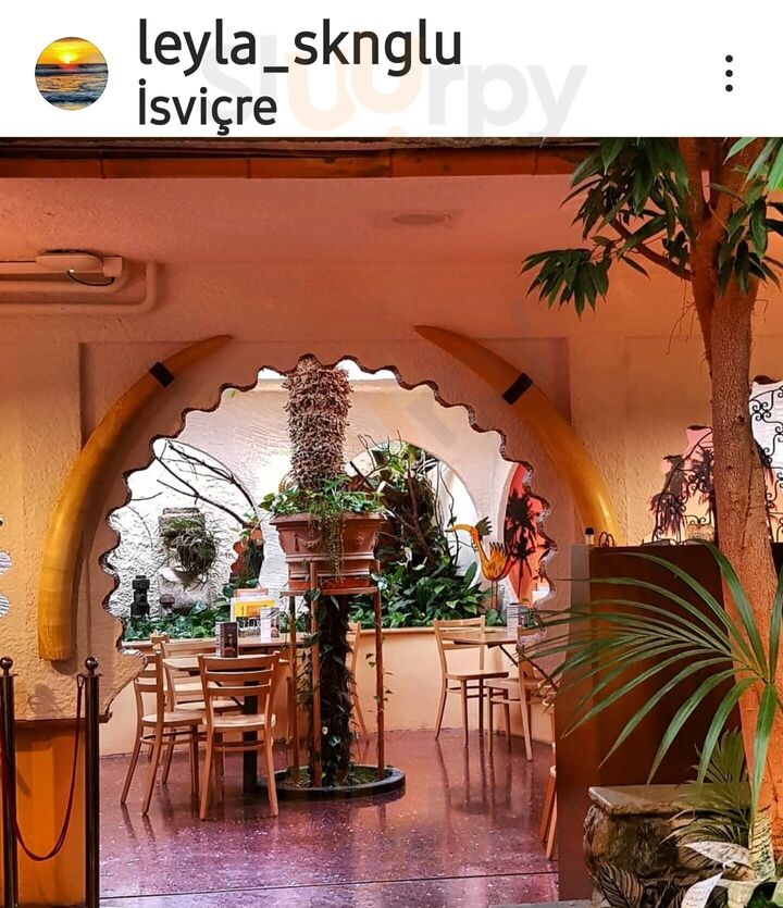 Tropenpflanzen Restaurant Florida