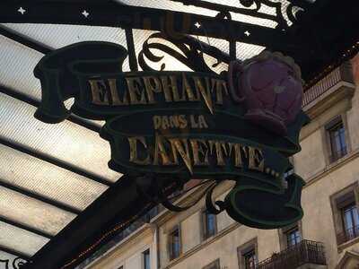 L'eléphant Dans La Canette