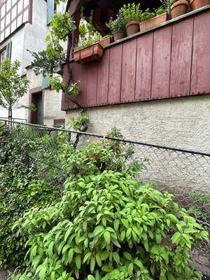 Restaurant Löwenzorn