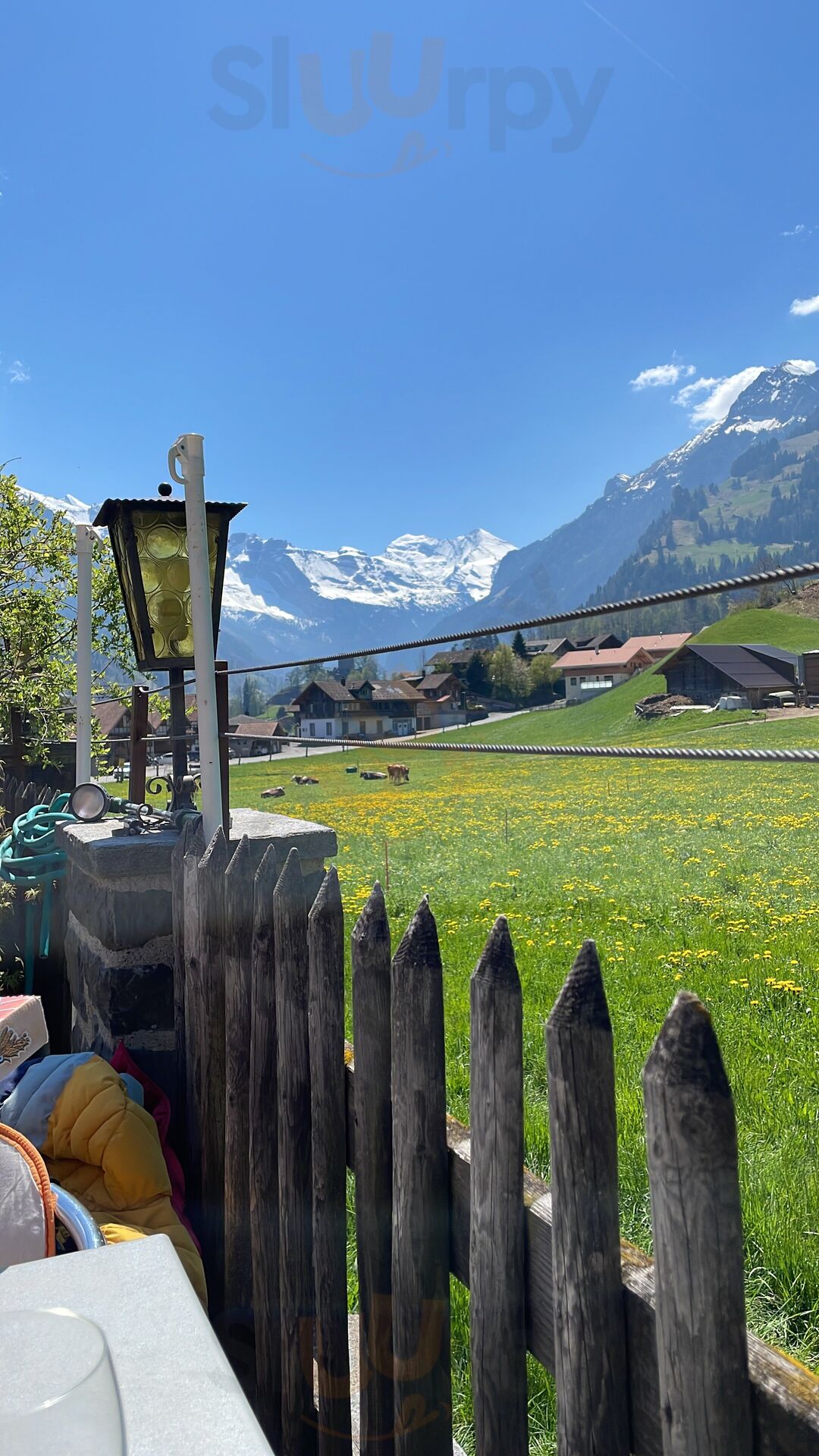 Pizzeria-restaurant Pony Da Biagio