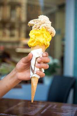 Muller's Factory Plainpalais