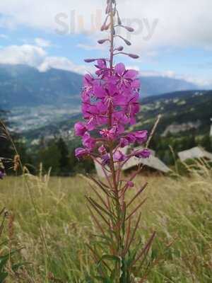 Kaimug Hb Food Station