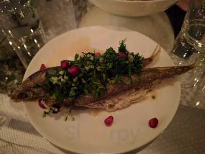 Wild Bar - Wine & Food