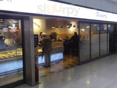 Blueberry American Bakery