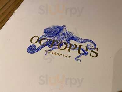 Octopus