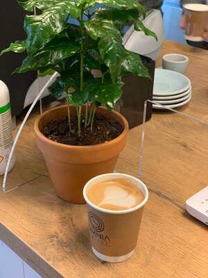 Omnia Coffee